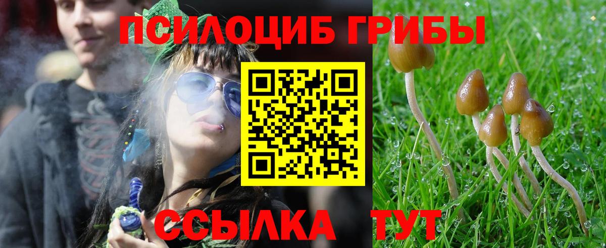 Псилоцибиновые грибы Magic Shrooms  Галлюциногенные грибы ЛСД  Вичуга  Вход с VPN 